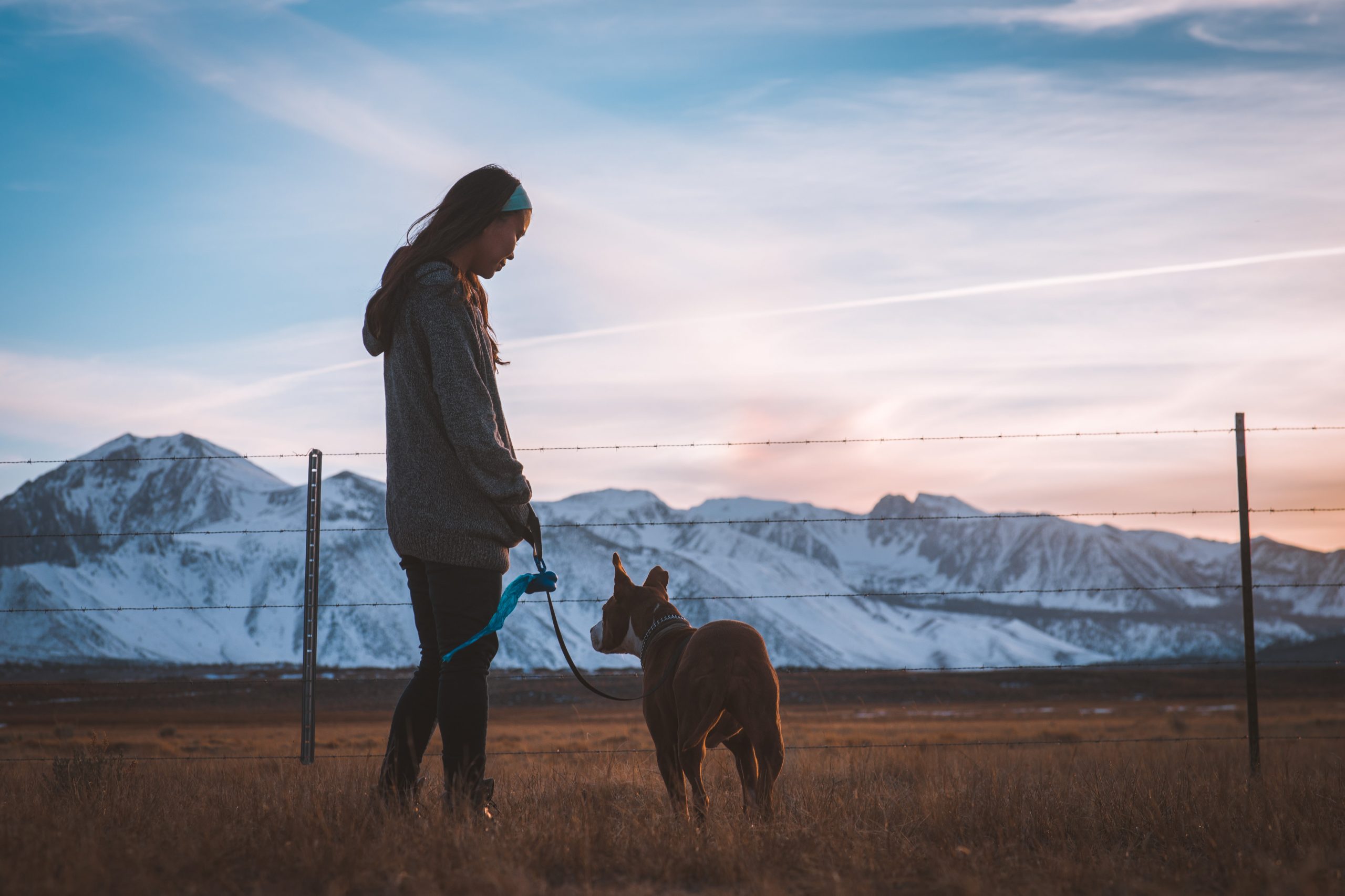 RESPONSIBLE OWNERS, WELL-MANNERED DOGS