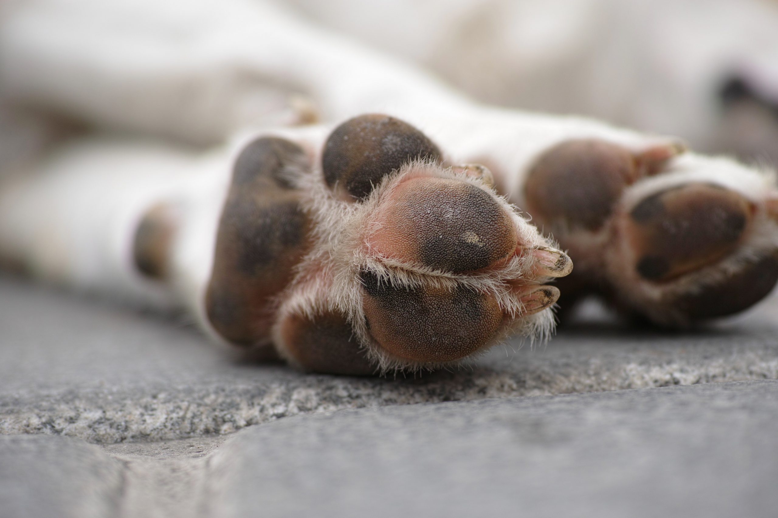 NAIL CLIPPING: THE GOOD, THE BAD, AND THE UGLY