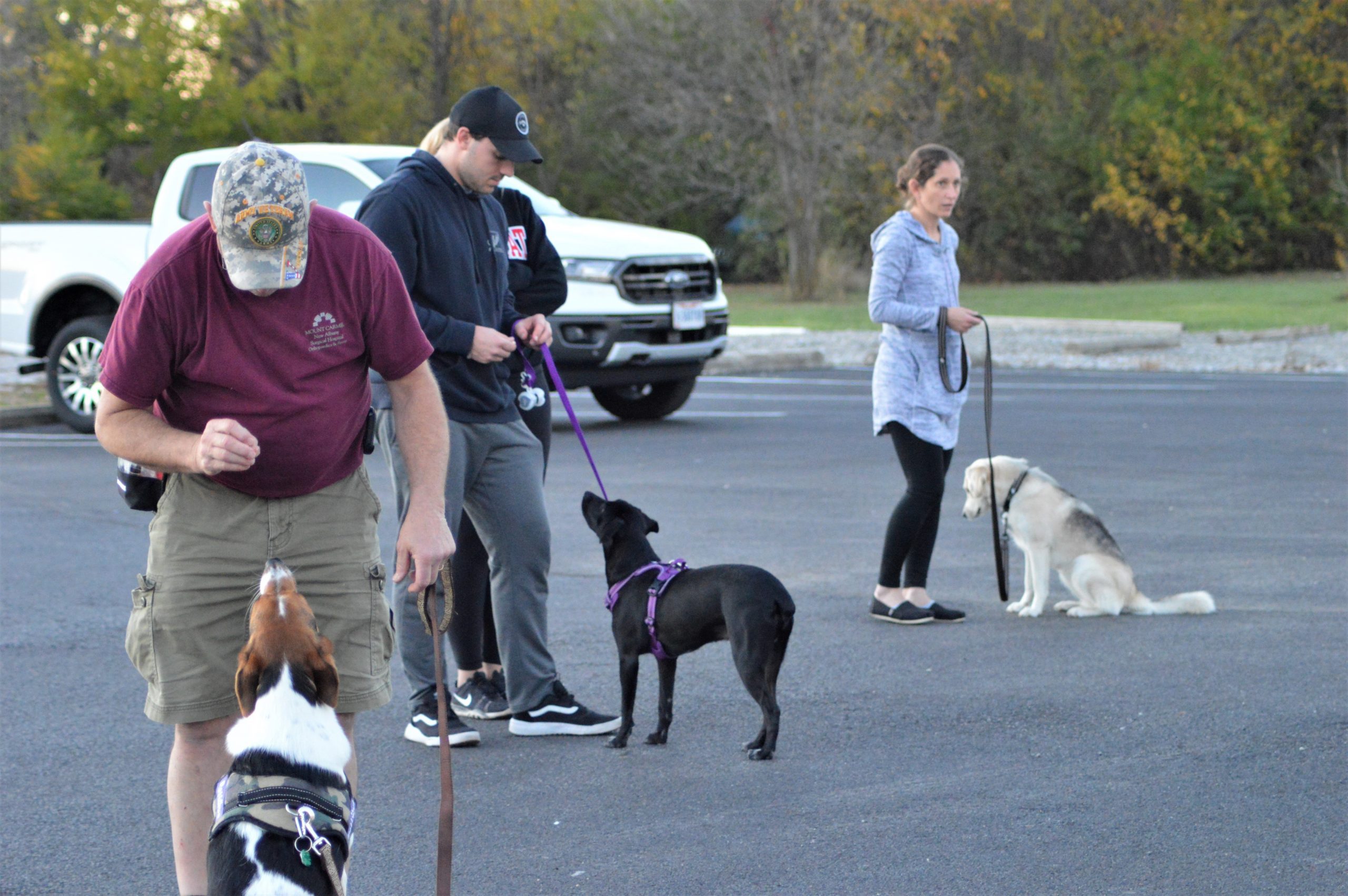 The Frontline Dog Training Program